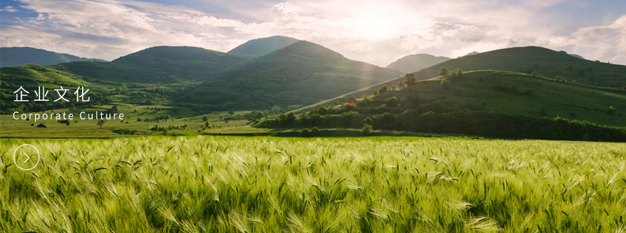 企業文化